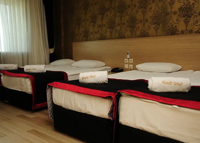 فندق Madi 3*